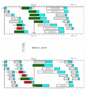 0-6岁儿童发育筛查法（DDST）丹佛发育筛查软件及工具