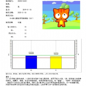 儿童智能发育筛查测验DST量表系统软件及评估工具的使用