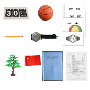 简易智力状态评估量表MMSE认知功能评估系统工具箱